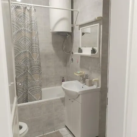 Temi * ノヴィ・サド