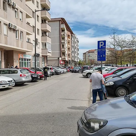 Temi * Novi Sad