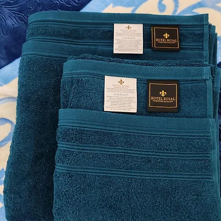 Temi ノヴィ・サド