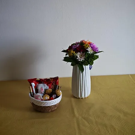 Temi Appartement Novi Sad