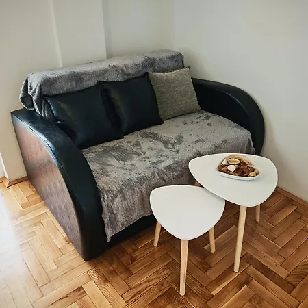 Temi * Novi Sad